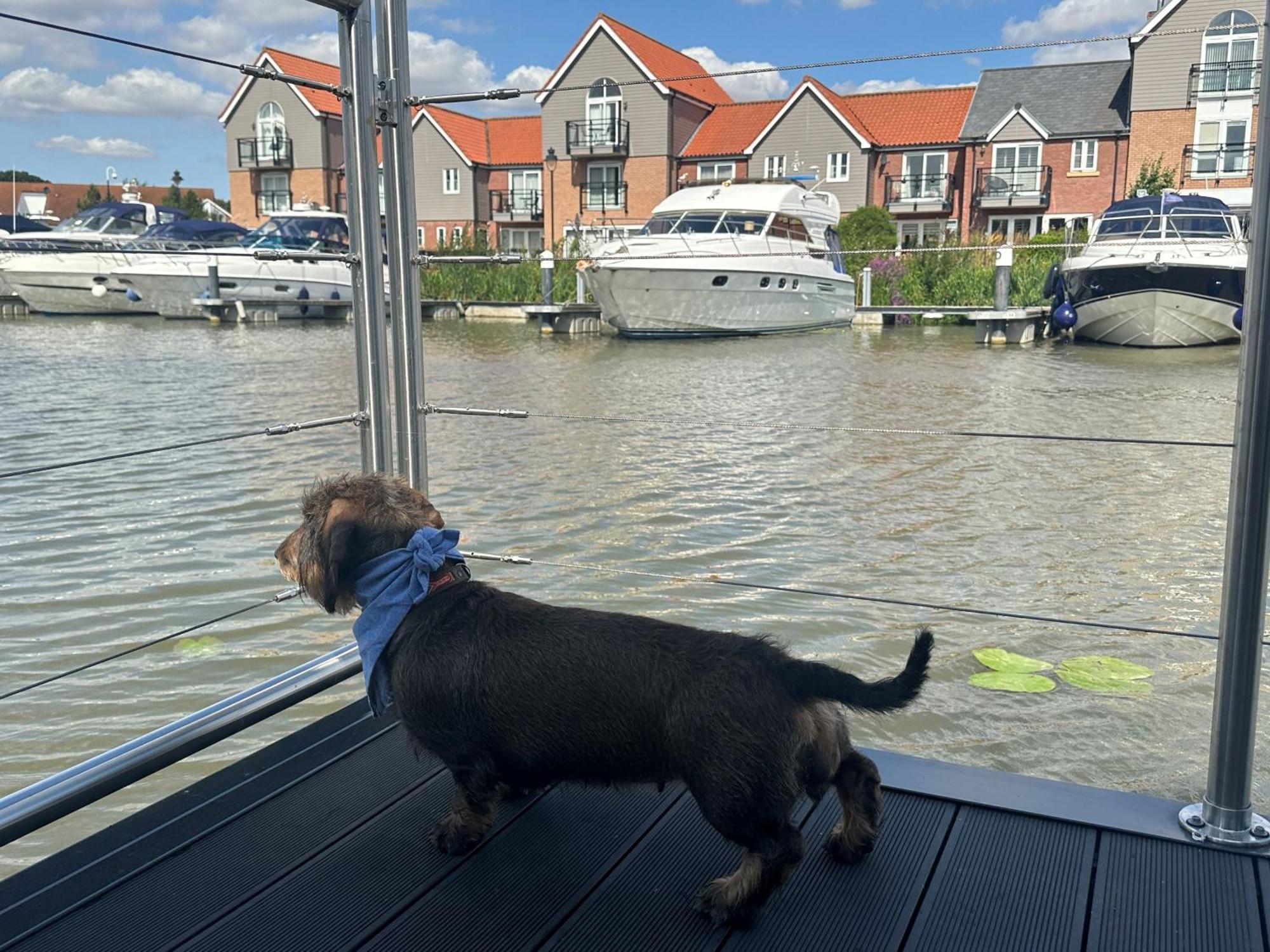 Lincoln Floating Holidays Екстериор снимка